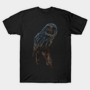 owl, owl colored T-Shirt